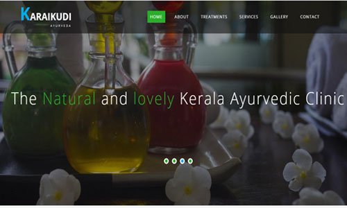 best website design company karaikudi